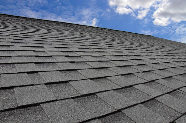 Best Storm Damage Roof Repair  in Cass City, MI